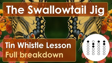 Learn The Swallowtail Jig on Tin Whistle | Full Tune Breakdown with Tabs (Irish Tune)