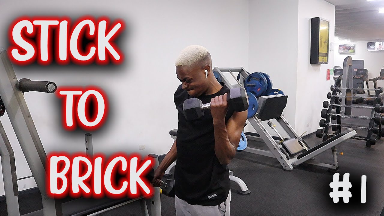 I SEE RESULTS! | Stick To Brick VLOG