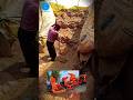 मशीन खरीदने के लिए संपर्क करें 📞 9926628497 #straw_loader #bhusa_bharne_ki_machin #shorts #viral