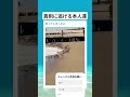 波から全力にげる#面白い #おもしろ #tiktok #Twitter