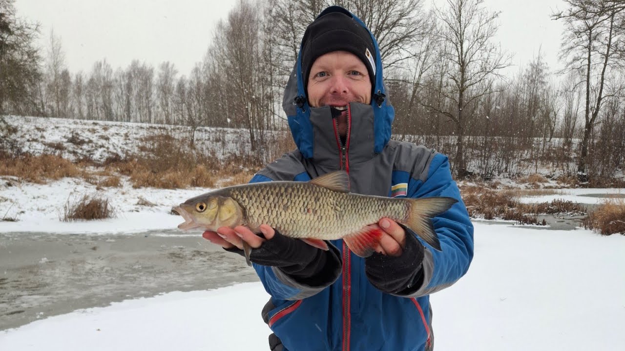 Skirta tiems, kas neužlipo!