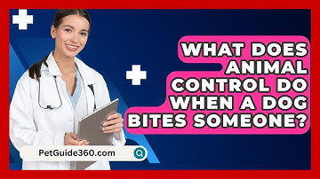 What Does Animal Control Do When A Dog Bites Someone? - PetGuide360.com