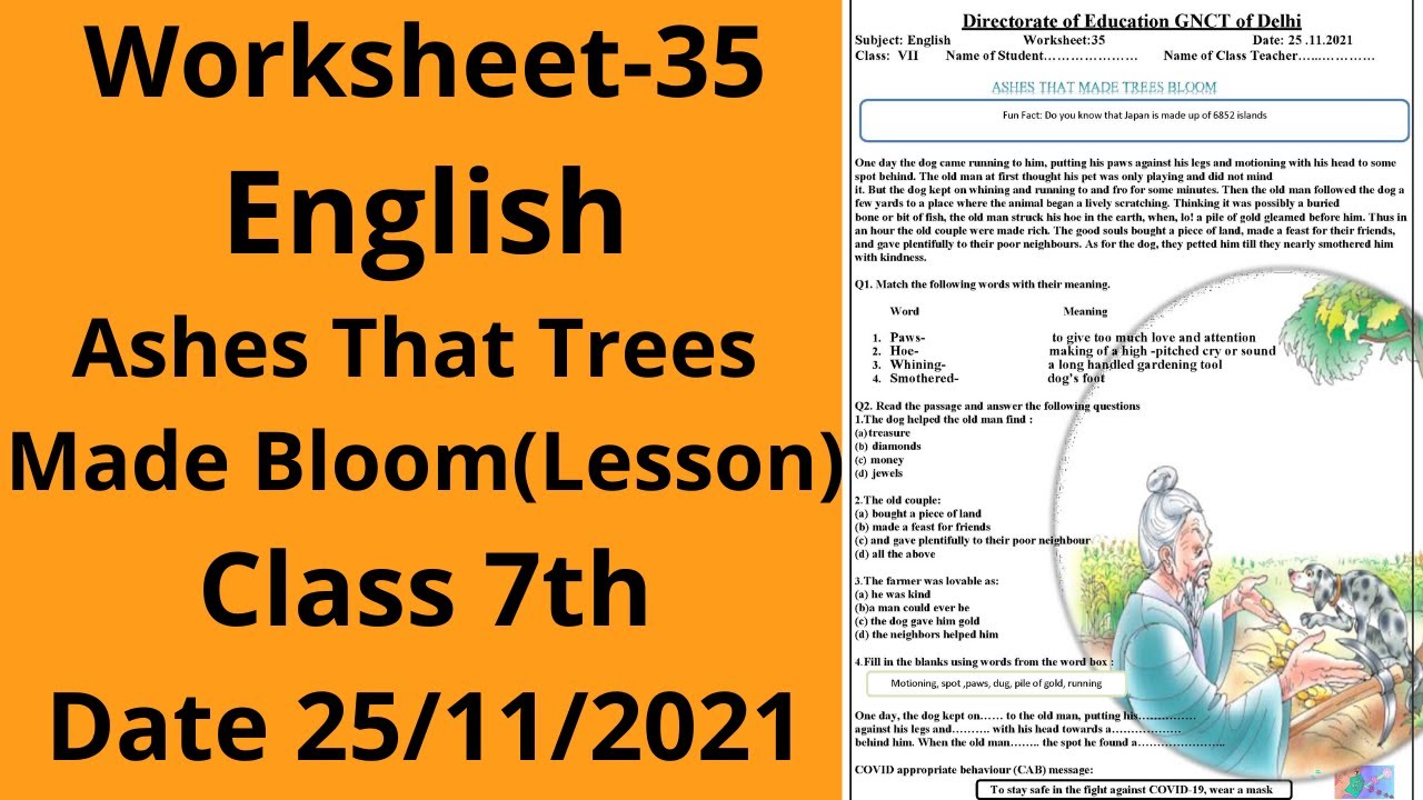 Worksheet 35 English Class 7 25 11 21 English Class 7 English 