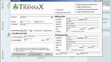NELiX TransaX QuickBooks Module - Process Credit Card/ACH Payments