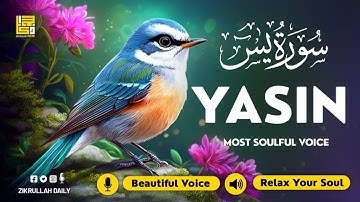 Surah Yasin (Yaseen) سورة يس ✦ Beautiful voice heart touching ✦ Soulful Quran For Sleep ✦ Alaa Aqel