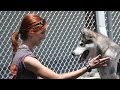 ASPCA's 'Second Chance Dogs' Premiering on Animal Planet April 16! ASPCA's 'Second Chance Dogs' Premiering on Animal Planet April 16!