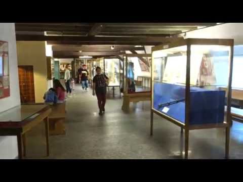 Video: Penerangan dan foto Muzium Bonsai (Bonsaimuseum) - Austria: Seeboden