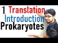 Translation in prokaryotes introduction | prokaryotic translation lecture 1