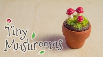 Miniature potted mushrooms (step by step tutorial)