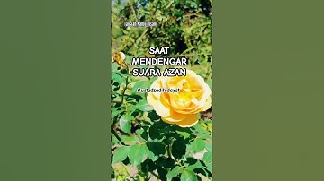 SAAT MENDENGAR SUARA AZAN #ustadzadihidayat #adihidayatofficial