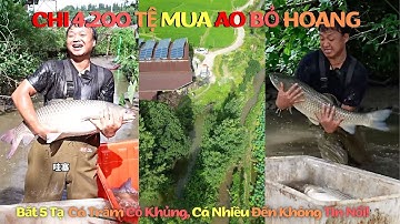 Mua Ao Cá Bỏ Hoang 4.200 Tệ – Bắt 5 Tạ Cá Trắm Cỏ Khủng, Cá Nhiều Đến Không Tin Nổi!