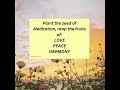 PEACE IN MEDITATION