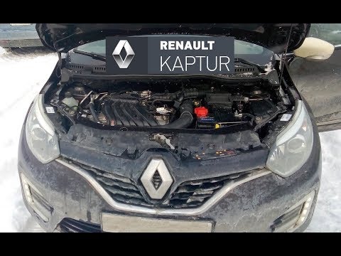 Renault Kaptur (Рено Каптур): какие технические жидкости заливать (доливать) в автомобиль?