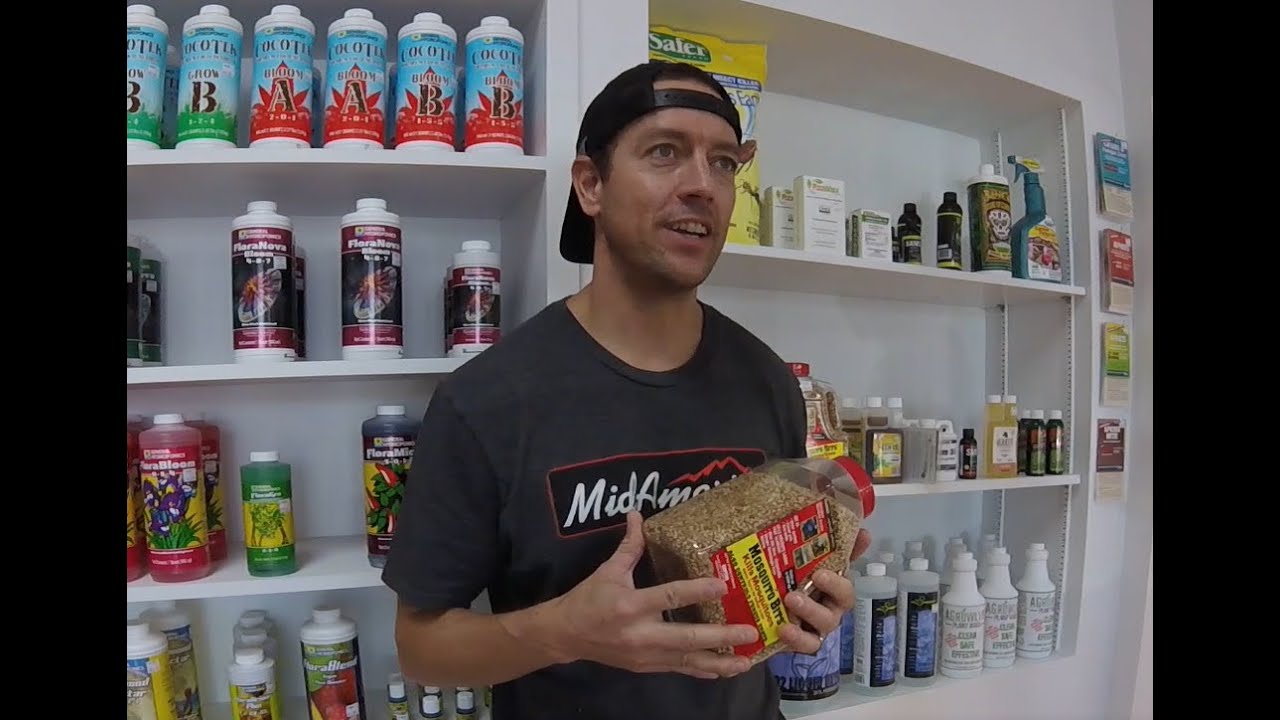 Grow Tip - Controlling Fungus Gnats