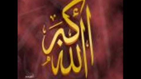 الشيخ محمد ابراهيم فخرالدين سورة لقمان.