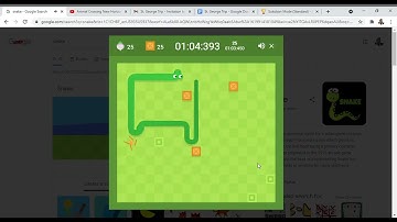 Sokoban Snake World Record