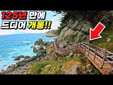 125년 만에 개통! 그동안 기차로 갈 수 없어 아쉬웠던 바다 트레킹 코스 | 국내 기차여행 | 걷는 여행