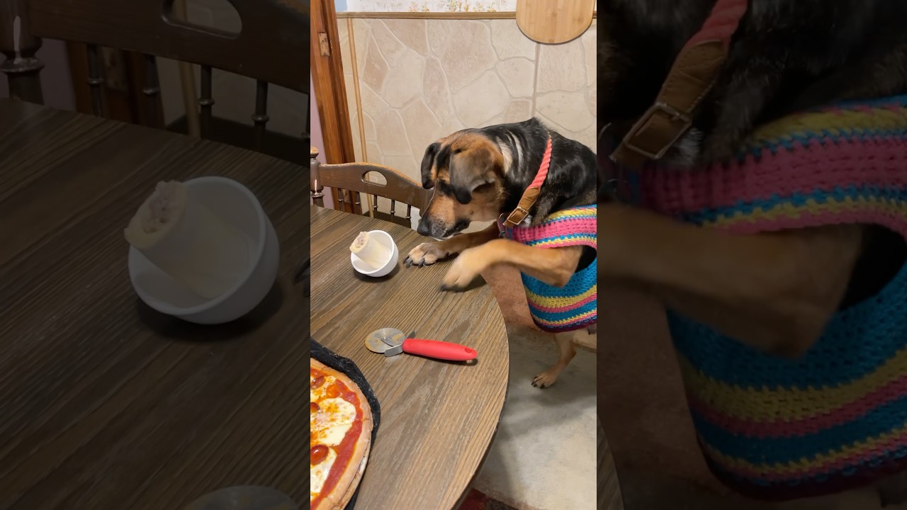 This is wild😂🤪 