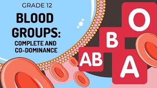 GENETICS | Blood Groups: Complete and Co-dominance