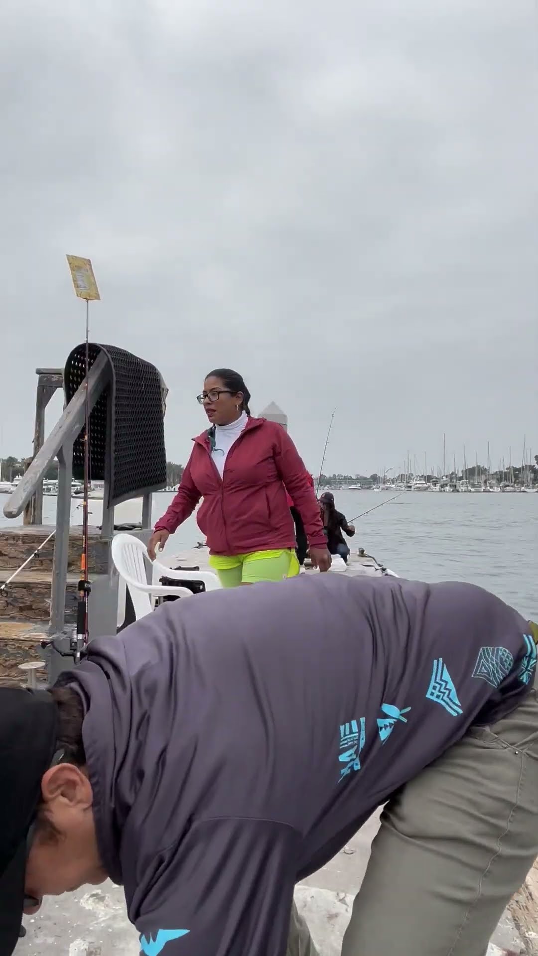Woman Rescues Seagull Hooked by Fishing Line
