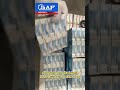 CSAF Premium Bearings
