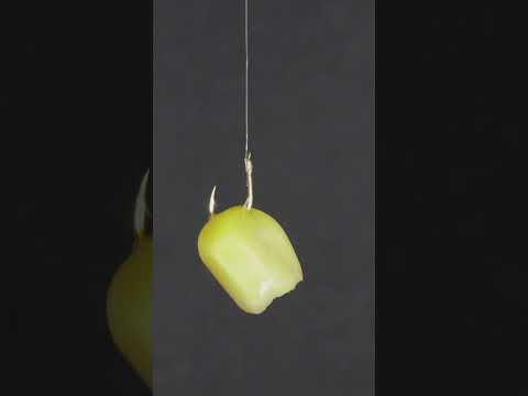 Jedna kukurydza -haczyk i zbrojenie -karp, lin, duży karaś