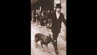 Bob Dylan-If Dogs Run Free-Live Montreux 2001