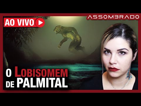 O LOBISOMEM DE PALMITAL - Policial Militar e colegas encurralaram e alvejaram um enorme Lobisomem!