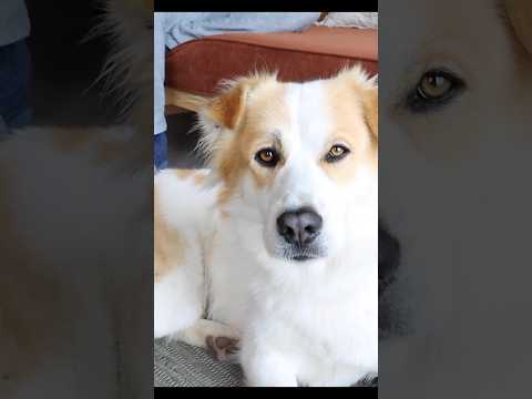 صابر ع اللي بيجرالي 