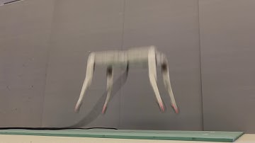 Jump with damped landing!