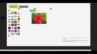 Edcite: Creating a Select Text from Excerpt Question