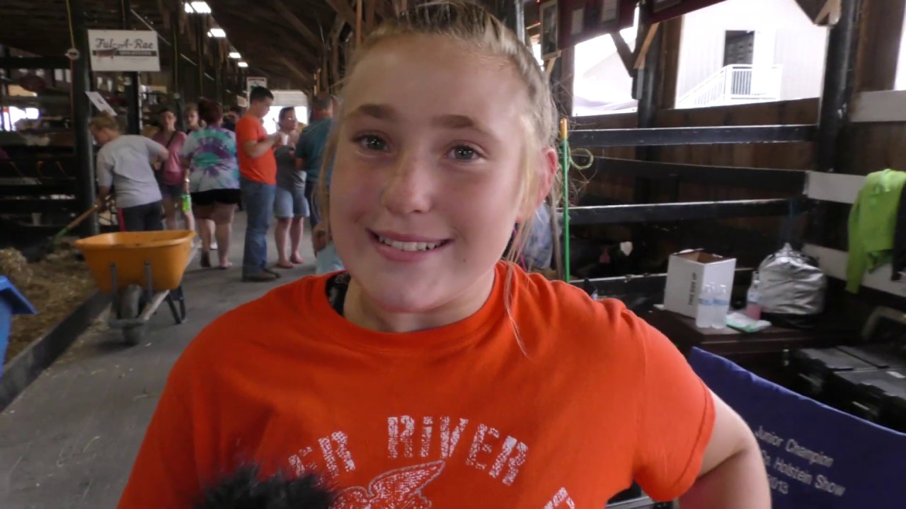 Dairy Barn Tour at Lewis County Fair YouTube