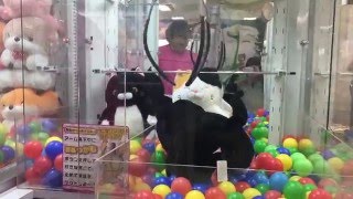 おんなこどもの夢も希望も奪う貯金箱と化したＵＦＯキャッチャー！盛ってるゲーセンはわりと取れるけど！(h28.4.4)