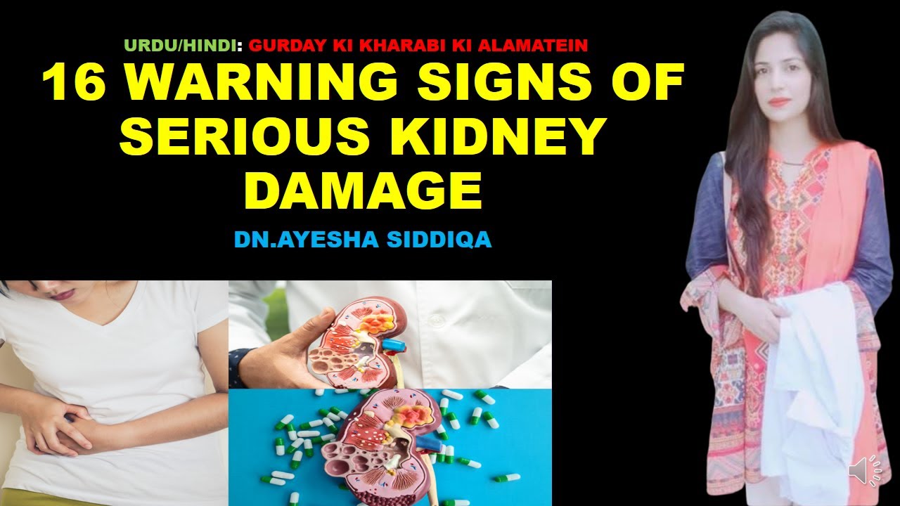 16 WARNING SIGNS OF KIDNEY DAMAGE/TOXIC KIDNEYS URDU/HINDI YouTube
