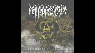 Per Momentum - Sept trois un