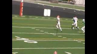 Josh Wilson, Touchdown Westerville south vs dublin Scioto