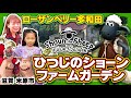 【滋賀県・米原市】初めての人必見！？ひつじのショーン ファームガーデン/ローザンベリー多和田で遊んだら総額いくら？　#ひつじのショーン　#おでかけ #こども #関西