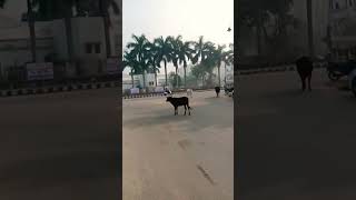 #gprup53 Gorakhpur nauka vihar taramandal#taramandal Banta hua dekhiae #travel #gkp #gomphothere #gp