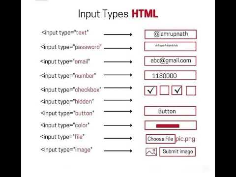 Mastering HTML Input Types: Control and Validate User Data