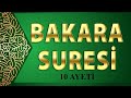 Her Sabah ve Her Akşam Okunduğunda Şeytandan Koruyan Bakara Suresi 10 Ayeti