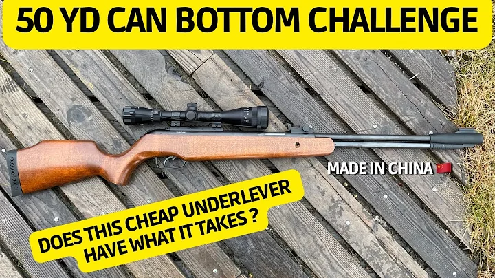 50 yd Can Bottom Challenge - Xisico XS46U Under Lever Airgun