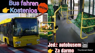 POLEN - Nahverkehr | Bus fahren GRATIS✔ | 8% Steuer auf Bahn-Tickets✔ | GRÜNE - Lebensqualität 🚌 screenshot 1