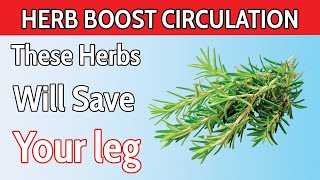 Seniors: 10 BEST Herbs to Boost Circulation in Your Legs Fast!