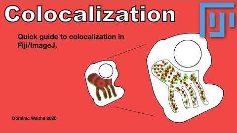Quick guide to colocalization in Fiji/ImageJ
