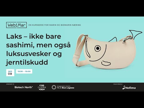 WebiMar - Laks - ikke bare sashimi, men også luksusvesker og jerntilskudd