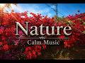 Nature Calm Music 🌸 Relaxing Garden Ambience for Stress Relief