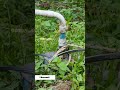 43 Acres Coffee, Pepper, Cardamom estate & Fruit farm land sale in Kodaikanal | Nathan 9025368382