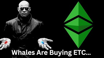 Ethereum Classic (ETC) Whales are Buying, How High Can ETC Pump? Is A New All Time High Possible?