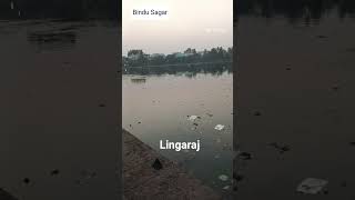 Take the steps to clean the Bindu Sagar