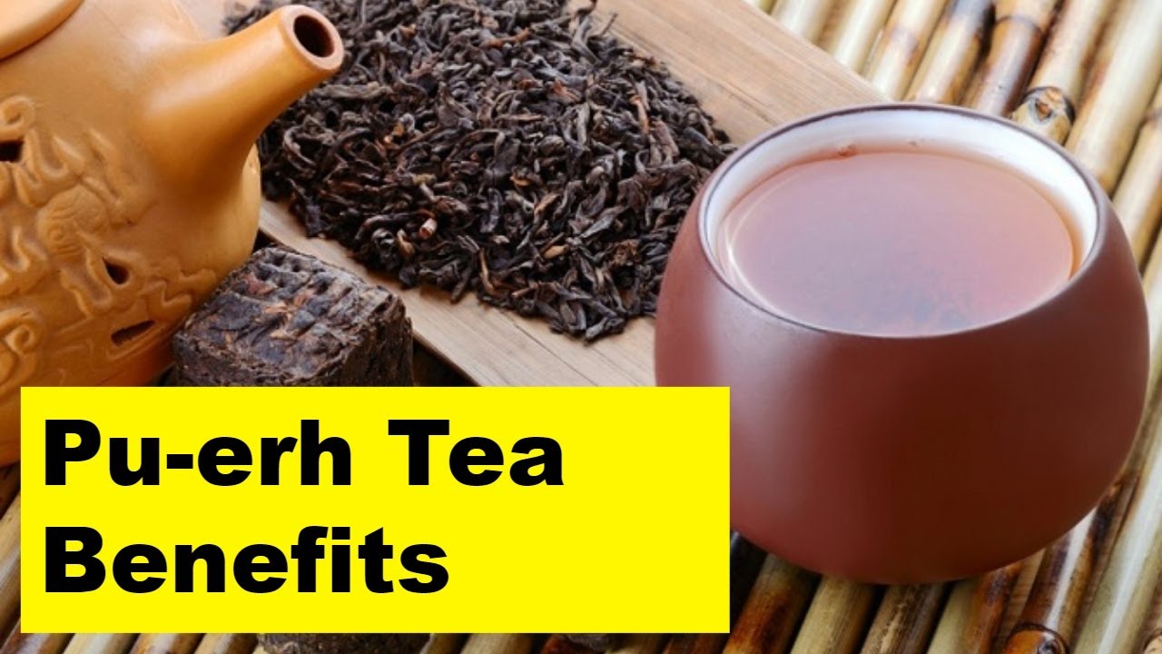 Pu Erh Tea Benefits How To Use Pu Erh Tea Chinese Qahwa Youtube